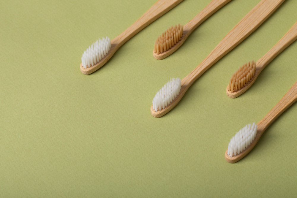 Conheça a Escova de Dentes de Bambu Ecologicamente Correta